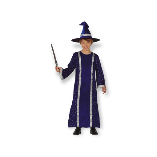 Picture of WISE WIZARD COSTUME 5-6 YEARS
